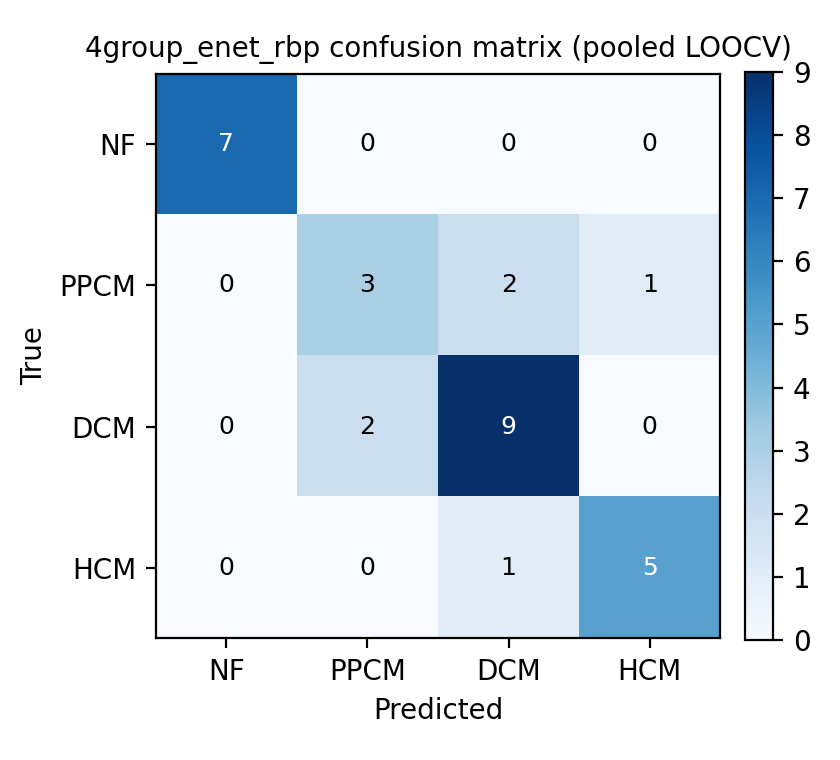 4group_enet_rbp confusion matrix