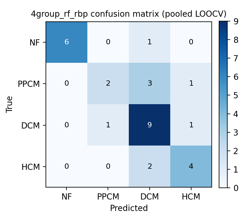 4group_rf_rbp confusion matrix